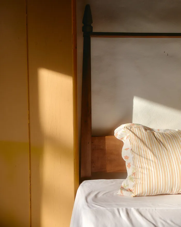 Afternoon sun across an empty bed